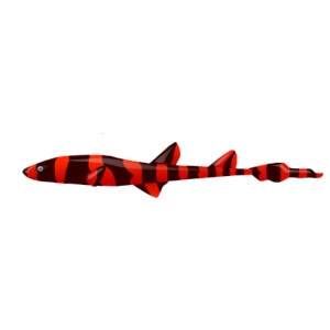 Red Cat Shark